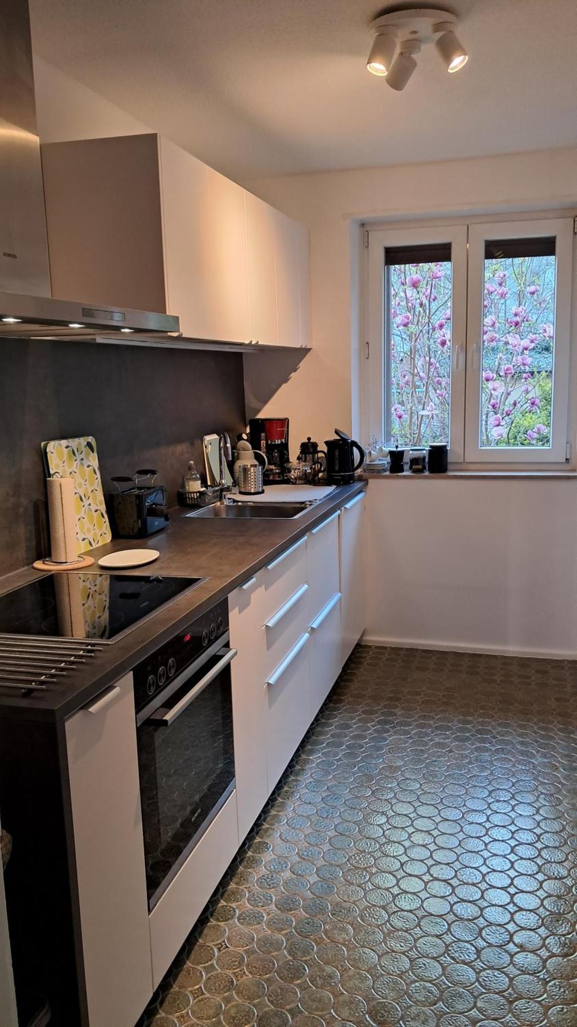Wohnung Medicus, 3 Zkb, Balkon, Garten, Naehe Stadtpark, Ruhig Kaiserslautern Exteriér fotografie